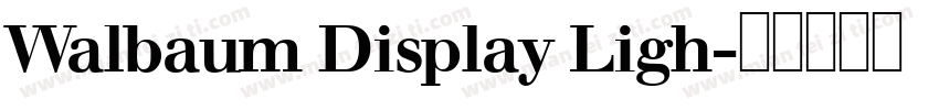 Walbaum Display Ligh字体转换